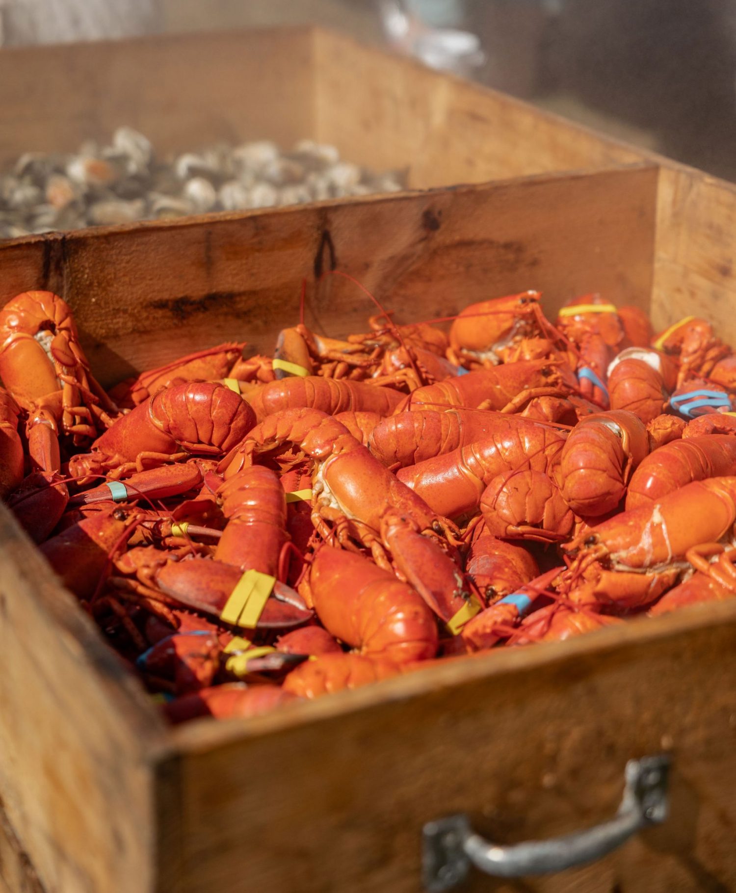 Jake's Clambakes & Kitchen